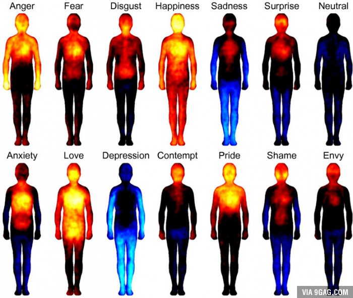 Human Body Frequency Chart